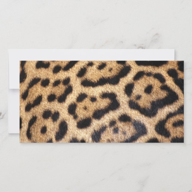 Jaguar Fur Photo Print (Front)