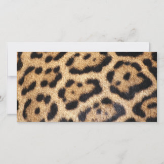 Jaguar Fur Photo Print