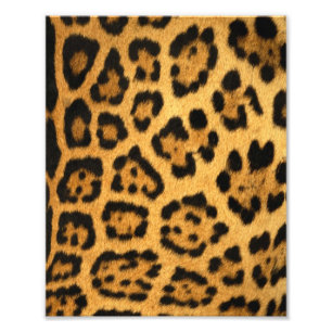 Jaguar Fur Print