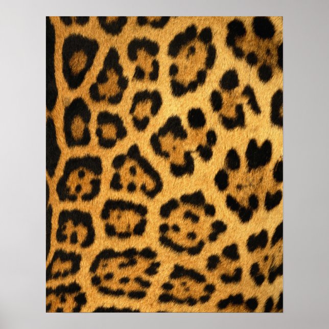 Jaguar Fur Print (Front)