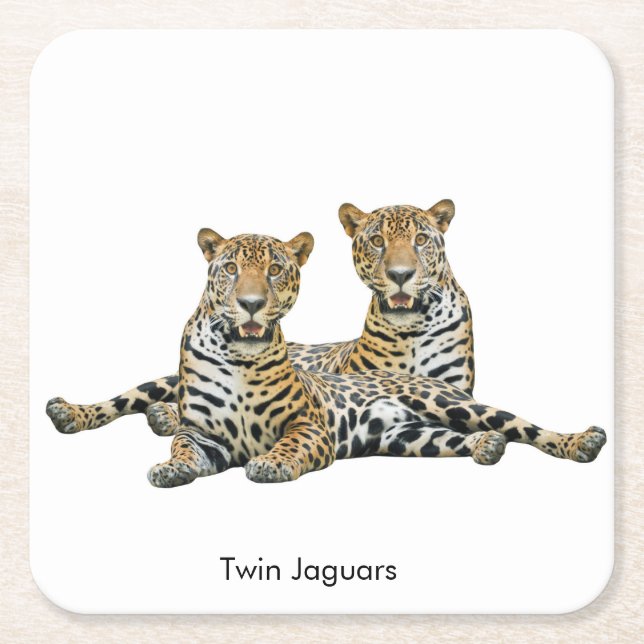 Jaguar image for Paper Coaster (Front)