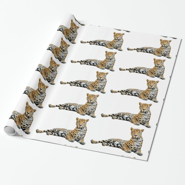 Jaguar image for Rapping paper (Unrolled)