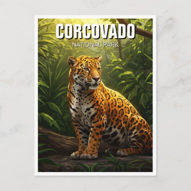 Jaguar in Corcovado National Park Costa Rica Postcard (Front)
