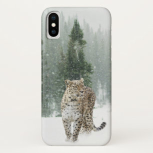 Jaguar in the Snow iPhone X Case