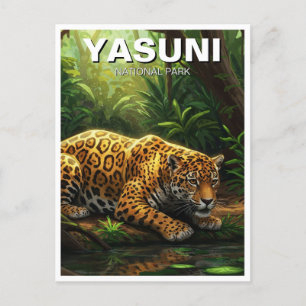 Jaguar in Yasuni National Park Ecuador Postcard