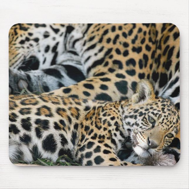 jaguar-mom-and-baby mouse pad (Front)