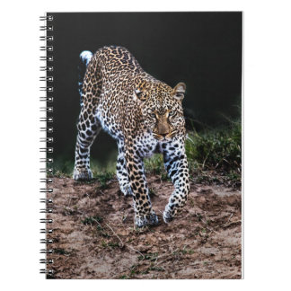 Jaguar Notebook