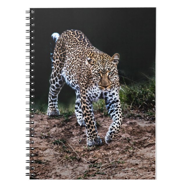 Jaguar Notebook (Front)