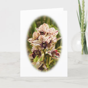 Jaguar Orchid greeting card