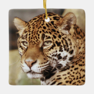 Jaguar Ornament