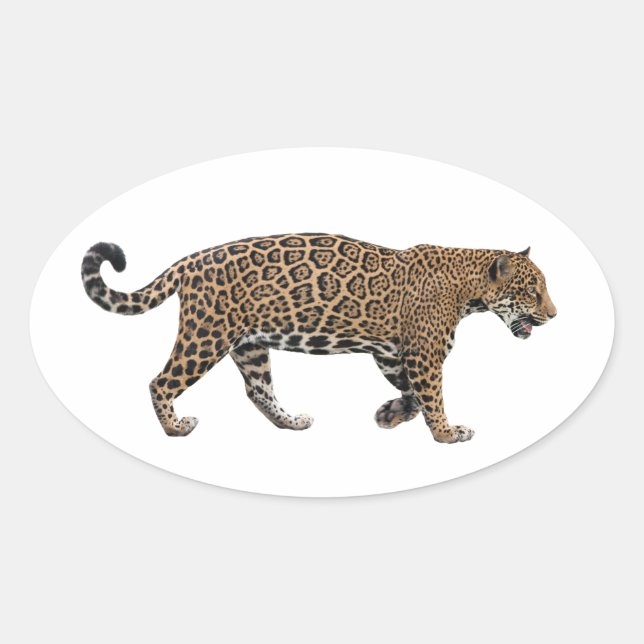 Jaguar Oval Sticker (Front)