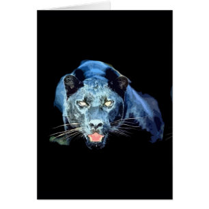 Jaguar - panthère noire