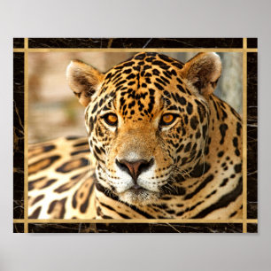 Jaguar Photo Image Print Poster