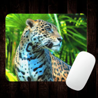 Jaguar Photography Majestic