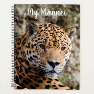 Jaguar Planner