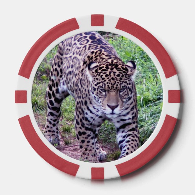  Jaguar Poker Chips (Front)
