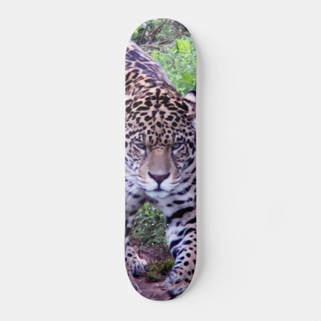 JAGUAR SKATEBOARD (Front)