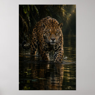 Jaguar Walking Through Dark Jungle Water Wildlife Poster