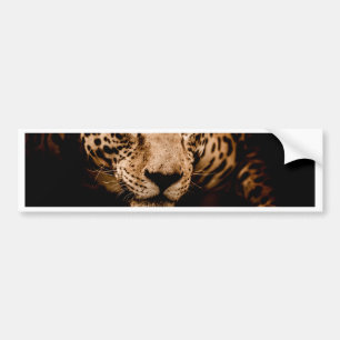 jaguar water stalking eyes bumper sticker
