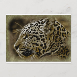 Jaguar Wild Cat Spots African Safari Destiny Postcard