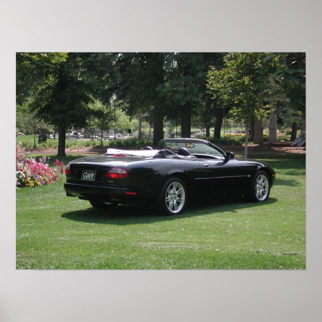 Jaguar XK8 Convertible Poster (Front)