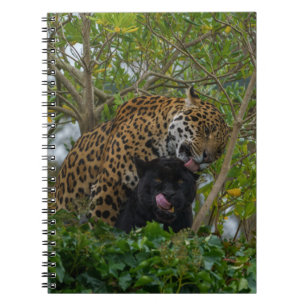 Jaguars In Love Notebook