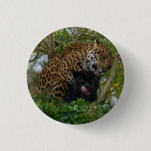 Jaguars In Love Silver 1 Inch Round Button
