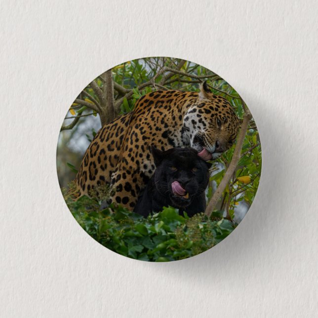 Jaguars In Love Silver 1 Inch Round Button (Front)
