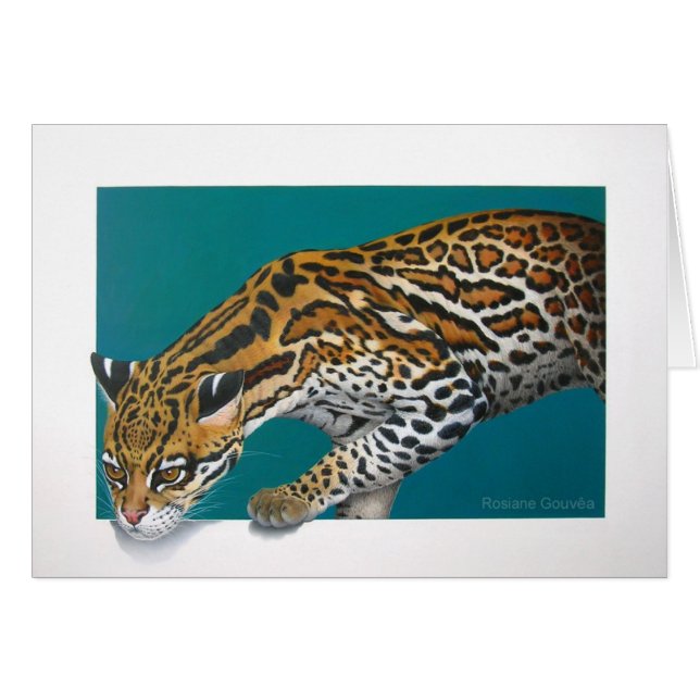 Jaguatirica (Front Horizontal)