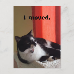 J'ai déplacé Cute Tuxedo Chat Talking Photo Cartes