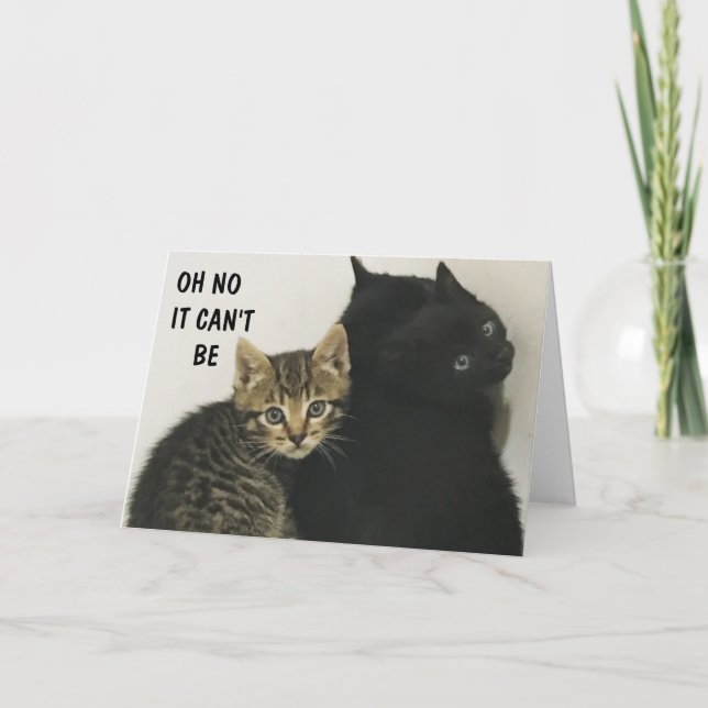 J'AI ENTENDU "VOUS" TOURNER "60" MEOW ! ! ! CARTE (Devant)