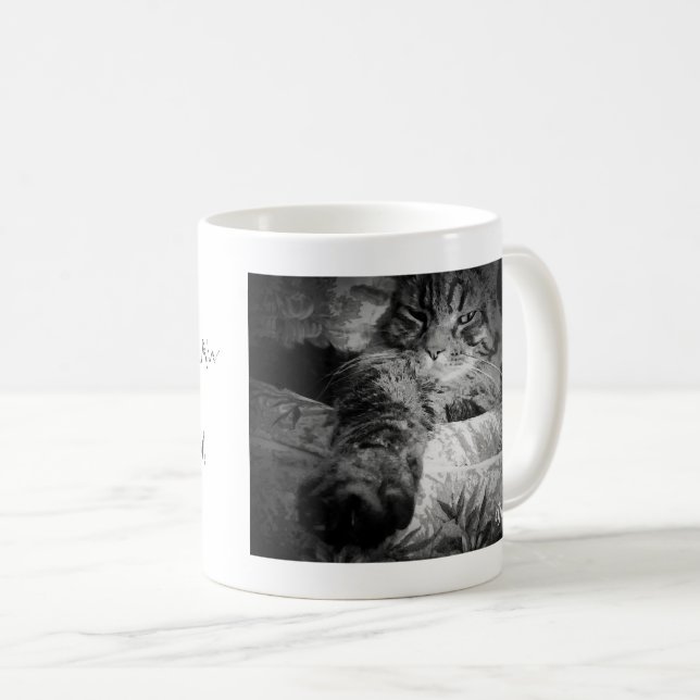 J'ai fauché la claw a gagné la tasse de café (Devant droit)