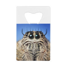 J'ai les yeux sur toi !