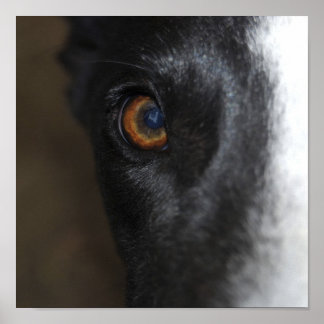 J'ai mon oeil sur toi - Poster