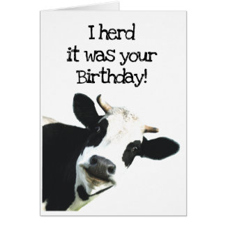 J'ai pensé que c'était ton anniversaire Fun Holste