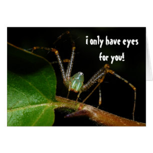 J'ai seulement des yeux pour vous