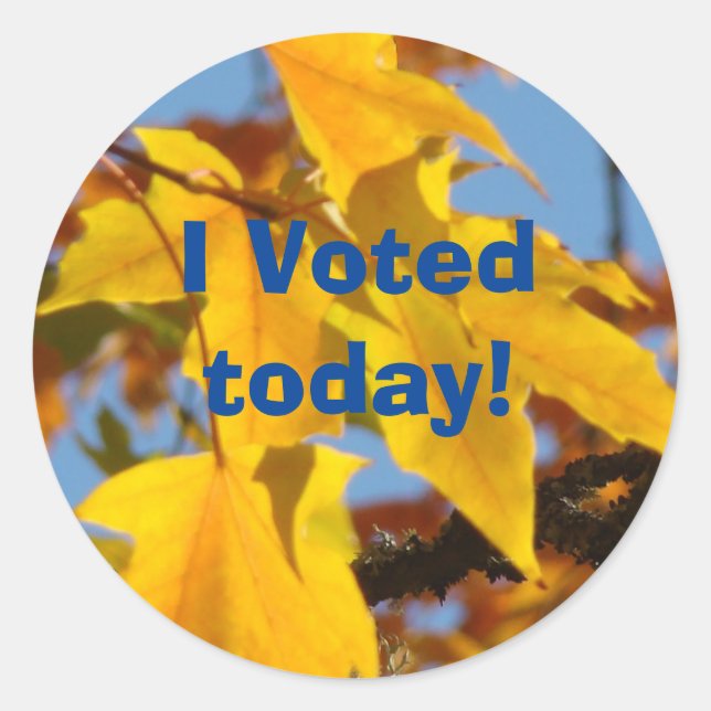 J'ai voté aujourd'hui ! autocollants Voter des aut (Devant)