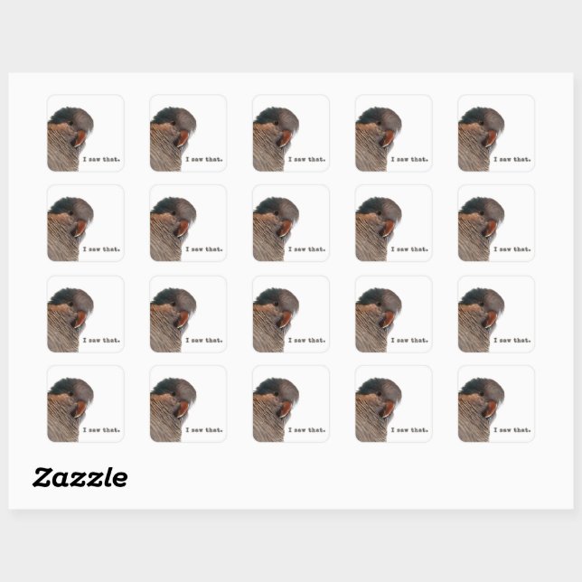 J'ai vu ça. Autocollant de perroquet (Feuille)