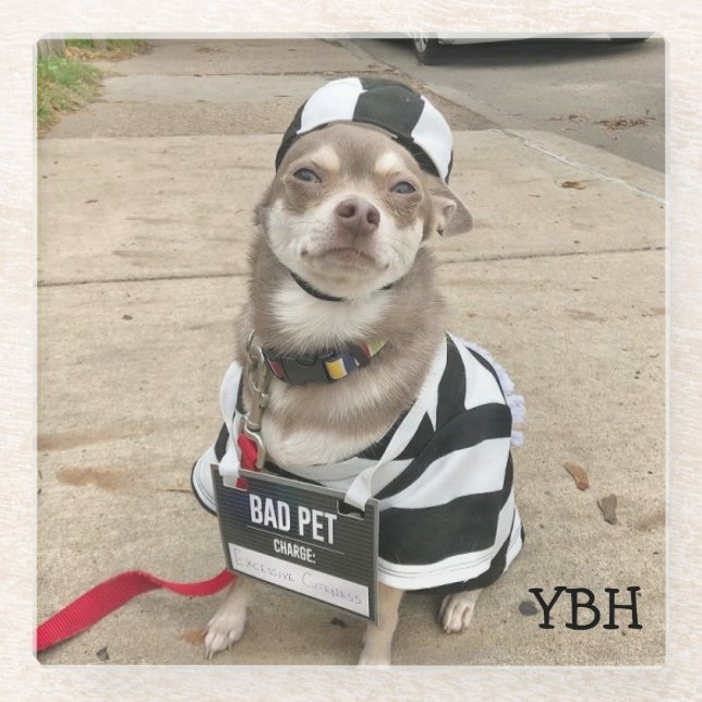 Jail Bird Huey  Glass Coaster (Front)