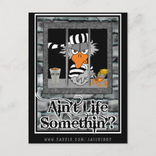 Jailbird Postcard