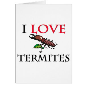 J'aime des termites