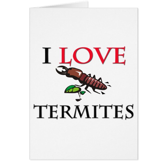 J'aime des termites (Devant)