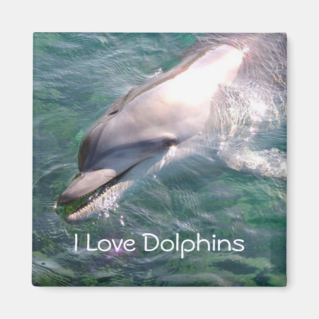 J'aime Dolphins Magnet (Devant)