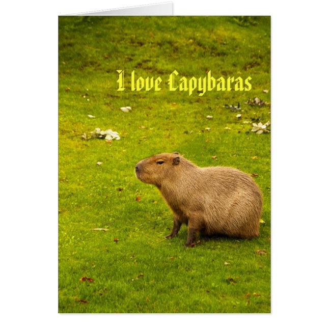 J'aime la carte capybaras (Devant)