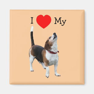J'aime le coeur mon aimant de chien de beagle
