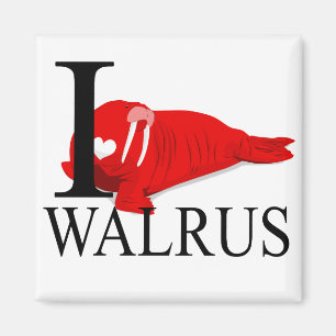 J'aime le magnet de morse