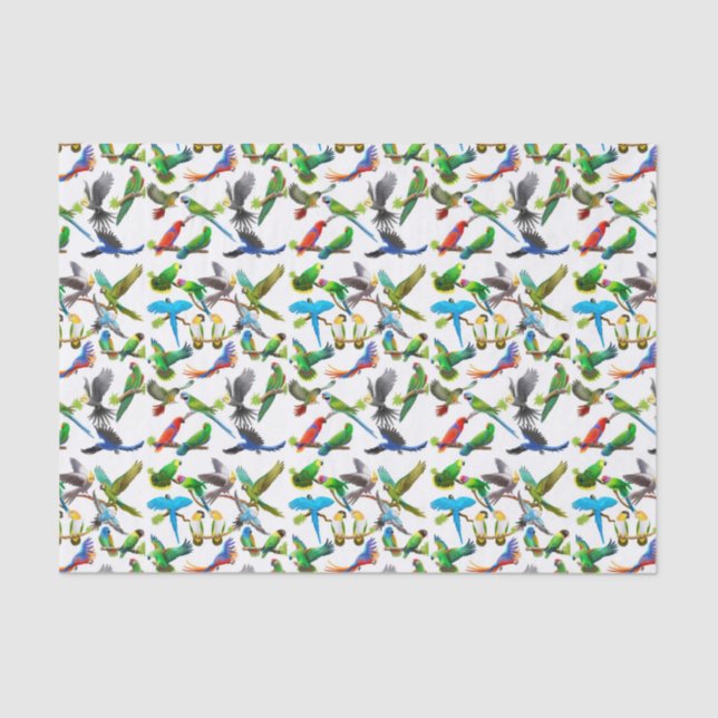 J'aime le papier de soie de soie de perroquets (Recto)