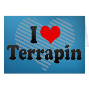 J'aime le terrapin