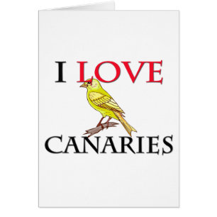 J'aime les Canaries