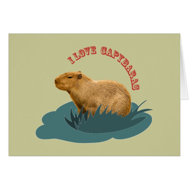 J'aime les capybaras (Devant horizontal)